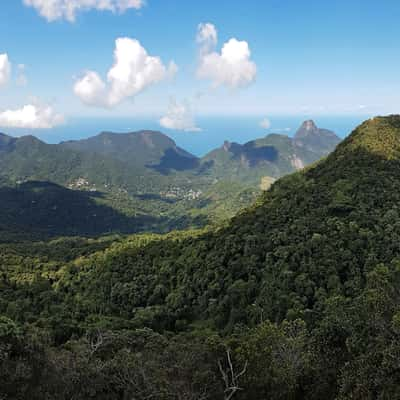 Bico do Pagagaio, Brazil