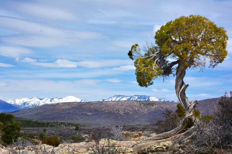 Black Canyon Trail, Gunnison National Park