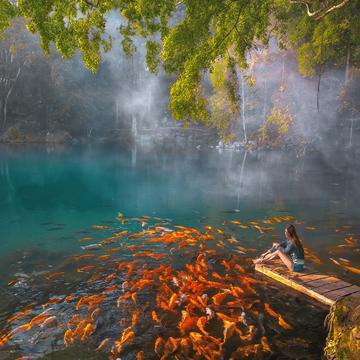 Blue Lagoon of Situ Cicerem, Indonesia