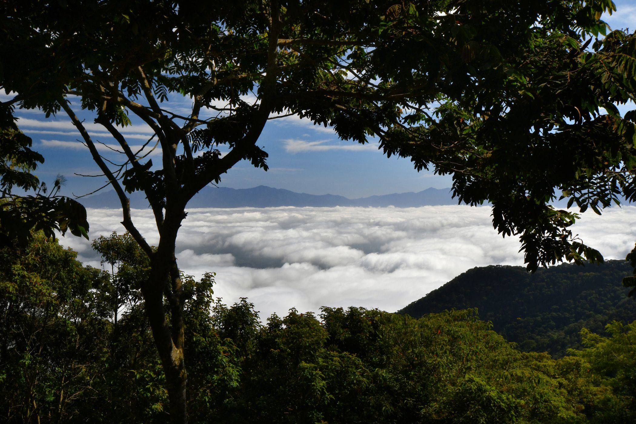 Bocaina, Brazil