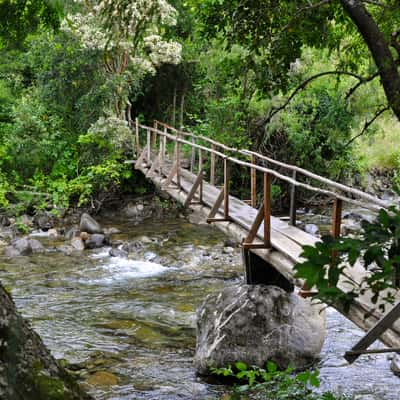 Bridge Near Playa Quelhue, Chile