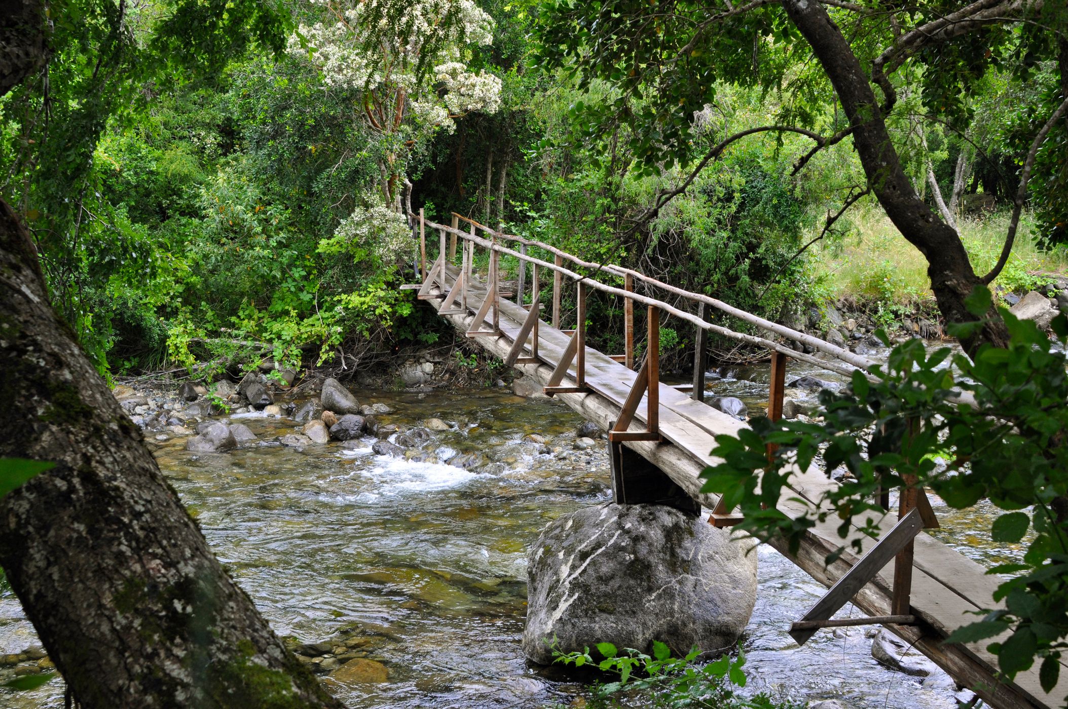 Bridge Near Playa Quelhue, Chile