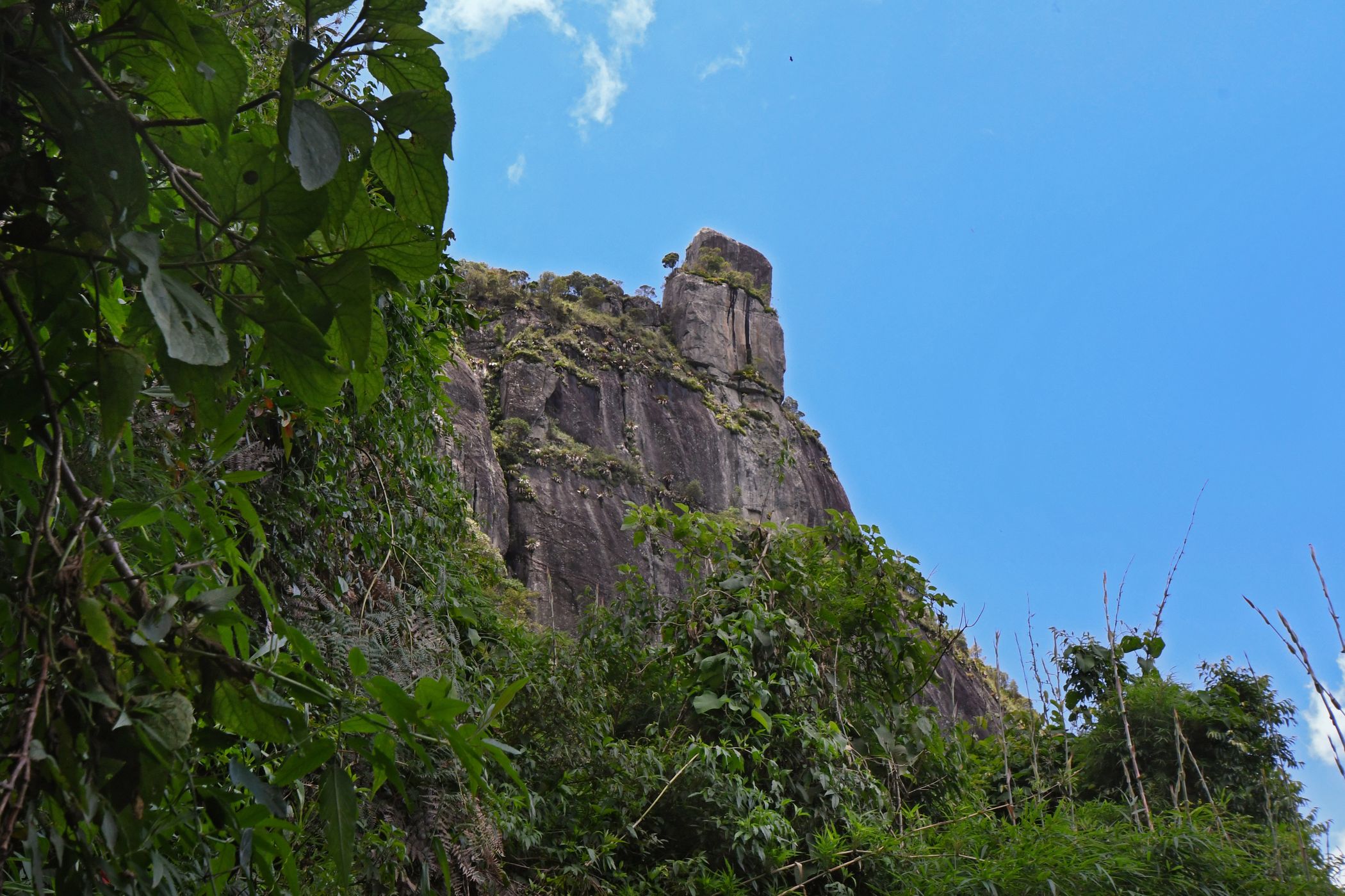 Caixa de Fósforos, Brazil