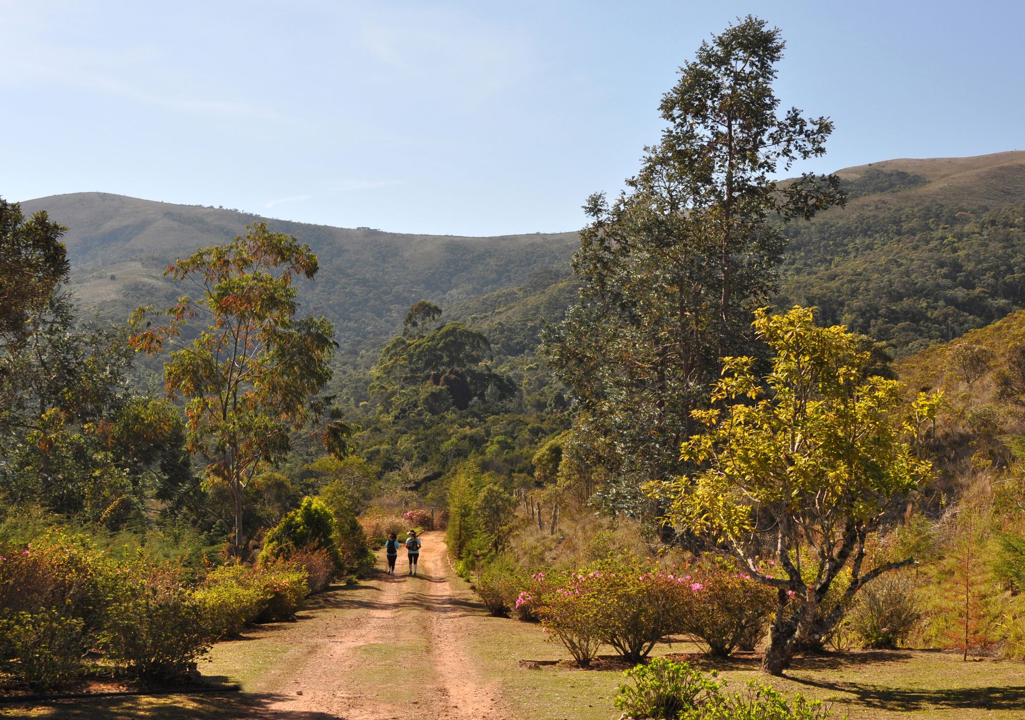 Campos da Bocaina, Brazil