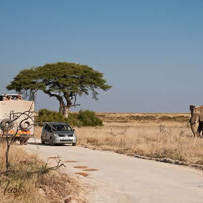 Chartisaub, Namibia