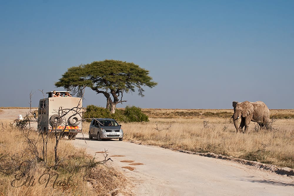 Chartisaub, Namibia