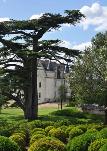 Château Amboise