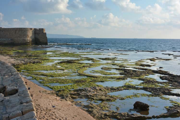 Acre Akko