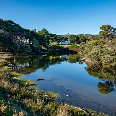 Creek, Maria Island, Tasmania, Australia