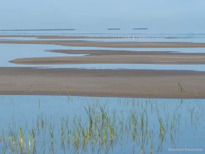 Delta Beach
