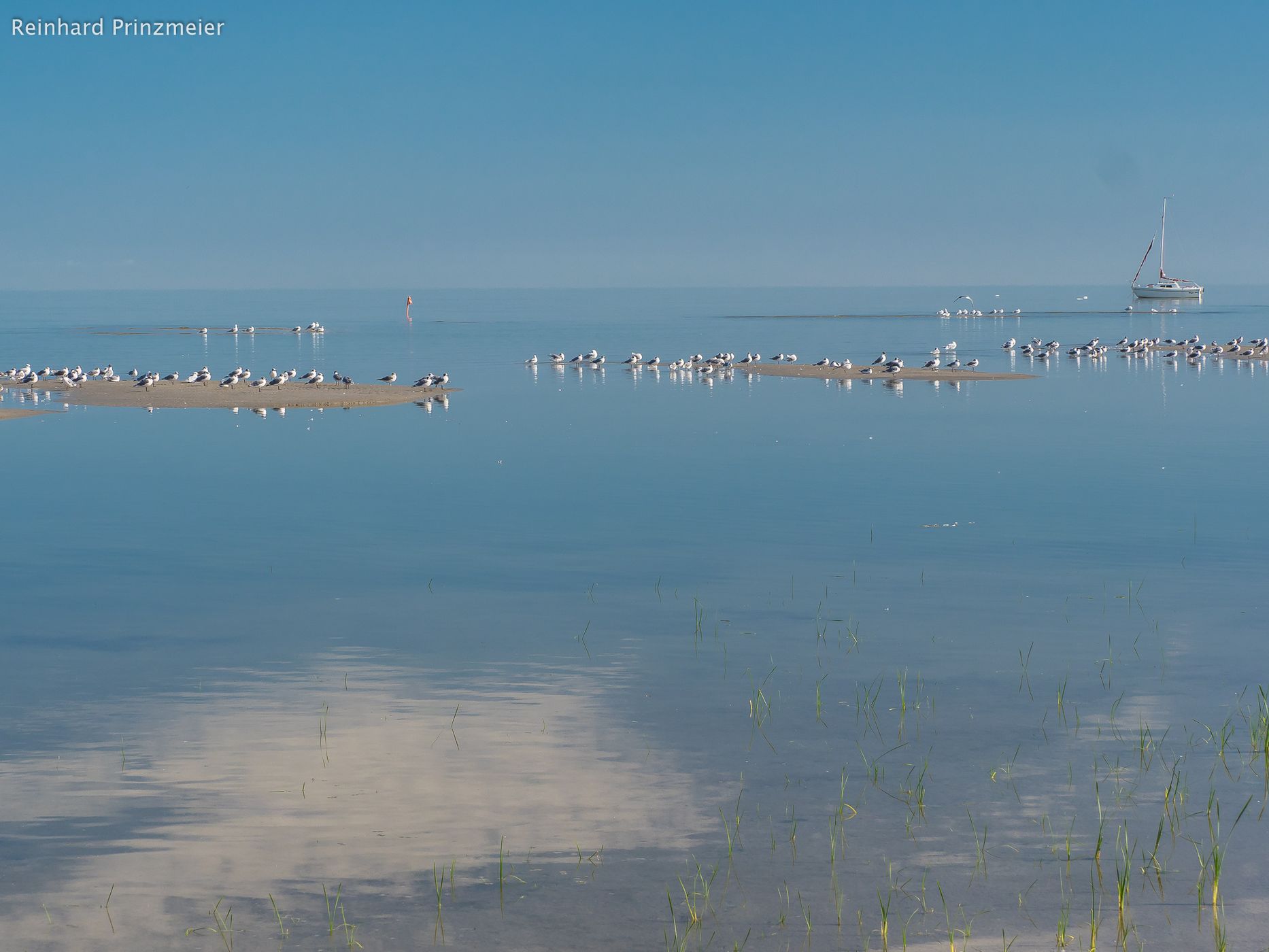 Delta Beach, Canada