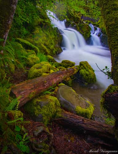 Falls Creek Falls