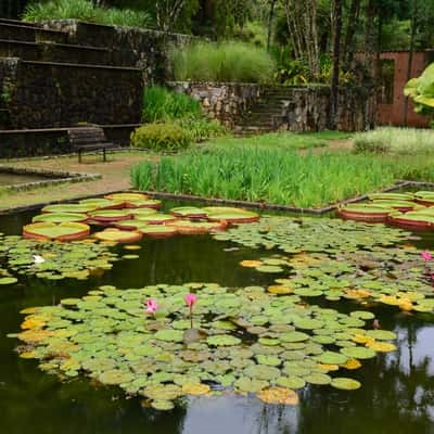 Fazenda Vargem Grande, Brazil