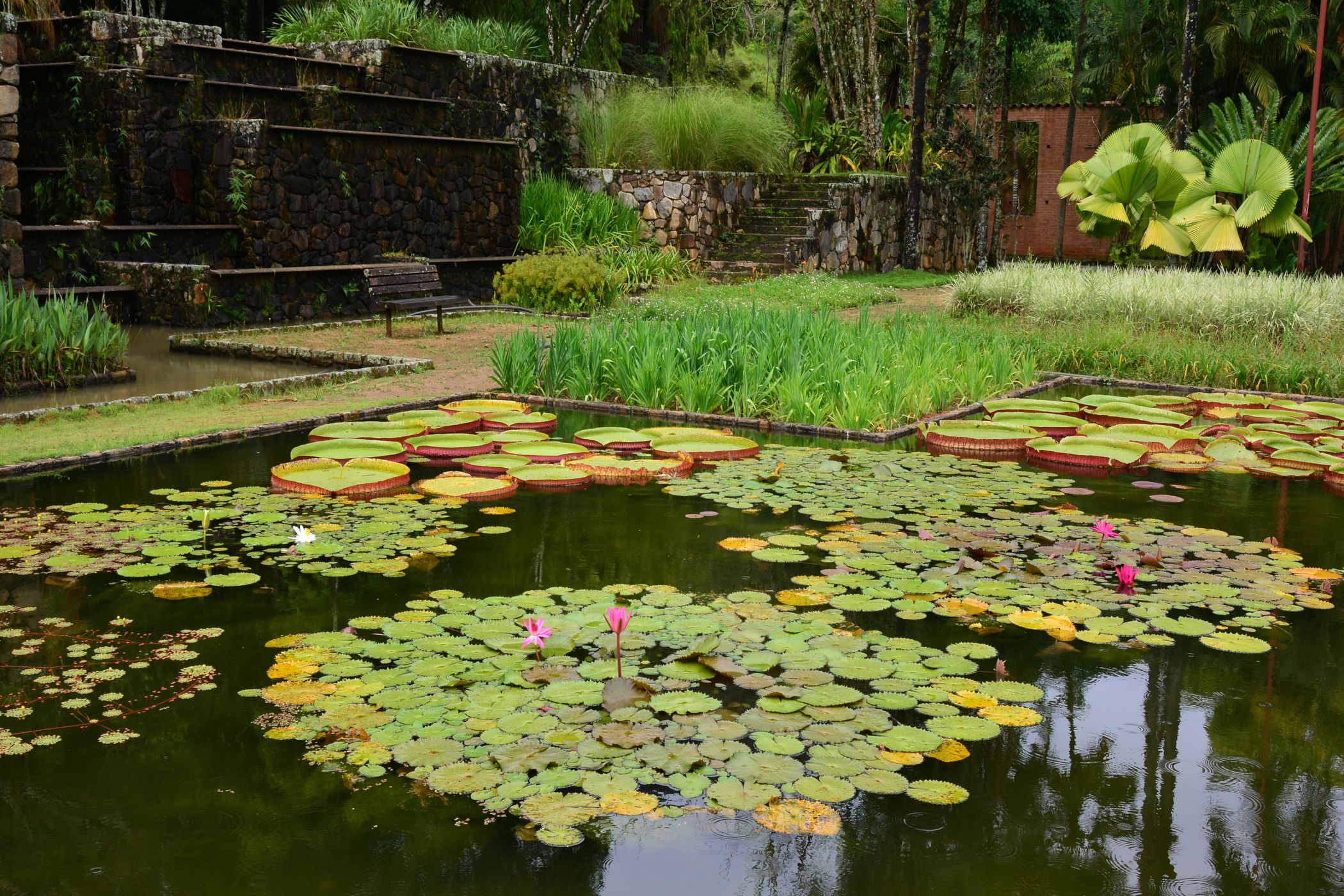 Fazenda Vargem Grande, Brazil