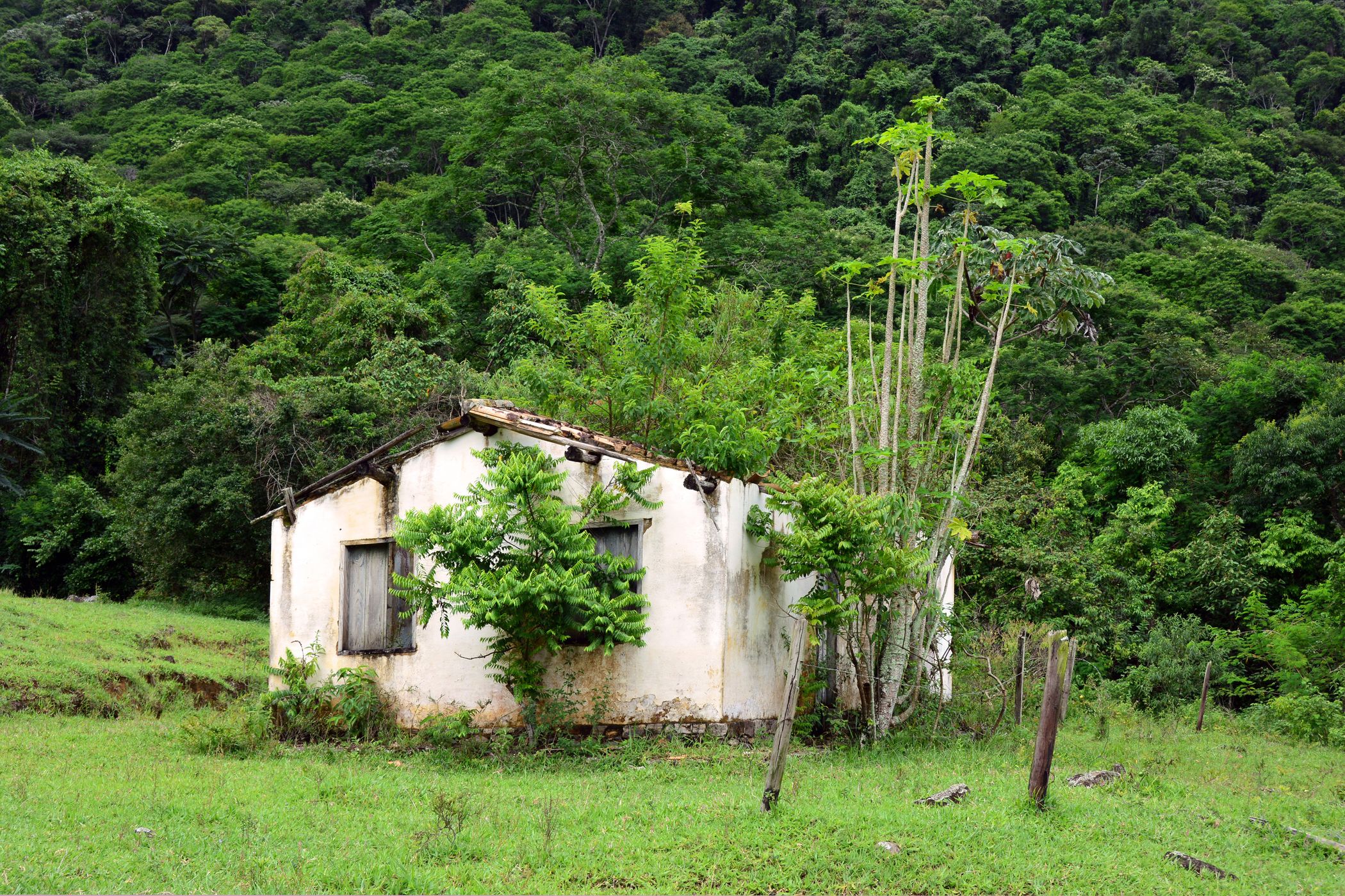 Fazenda Vargem Grande, Brazil
