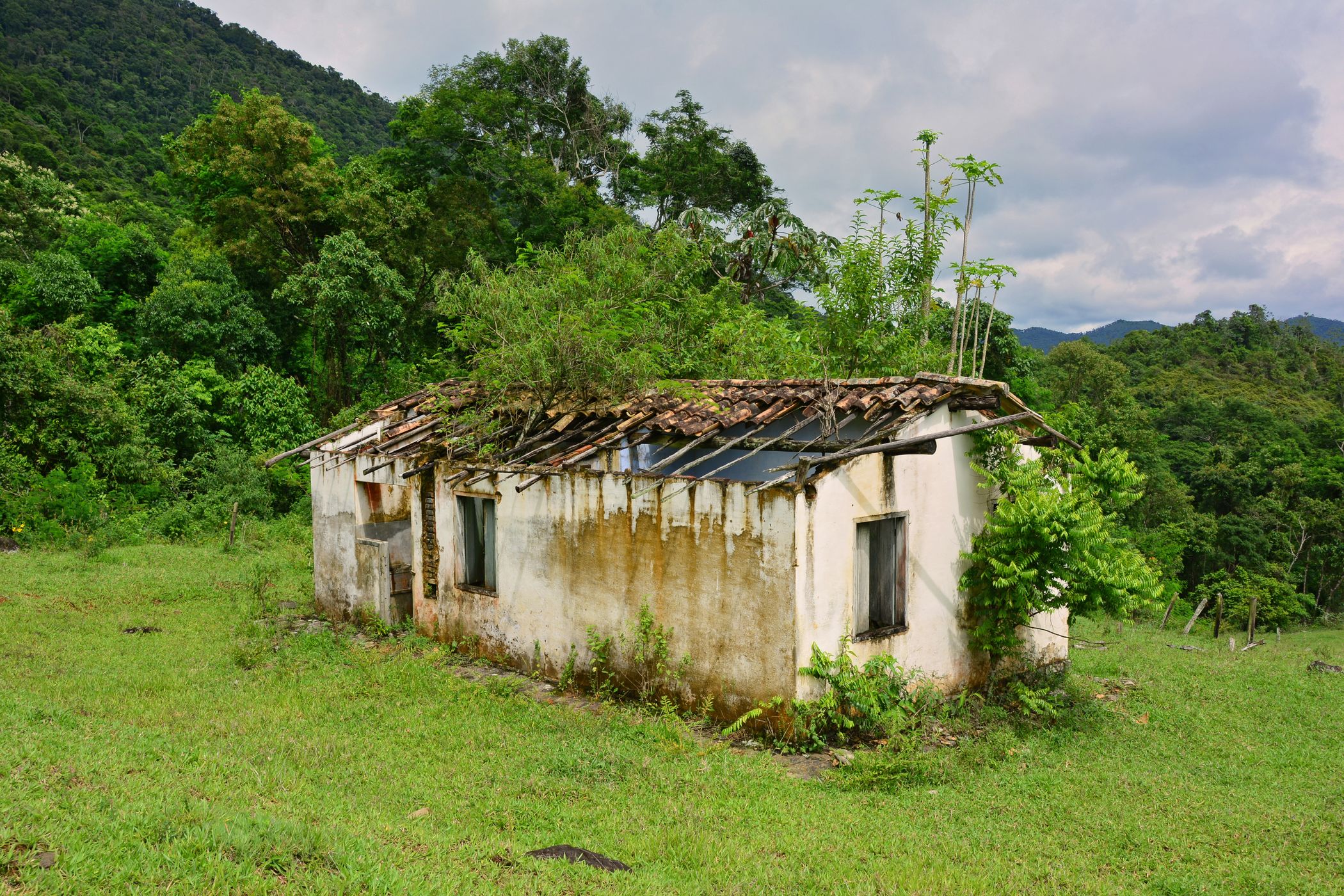 Fazenda Vargem Grande, Brazil