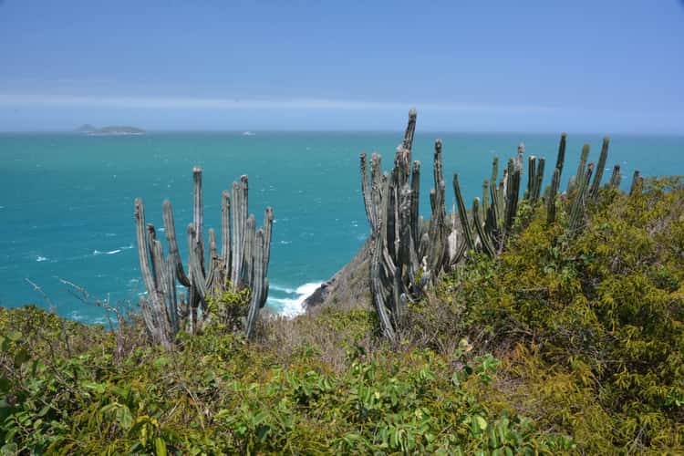 Ferradura Bay