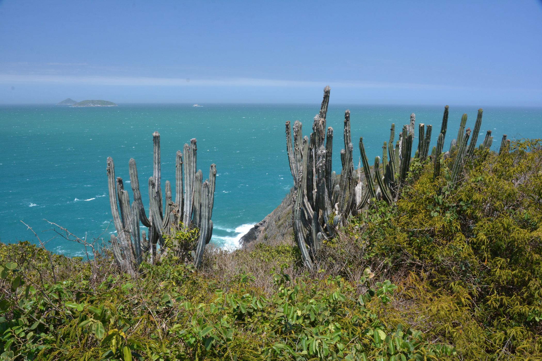 Ferradura Bay, Brazil