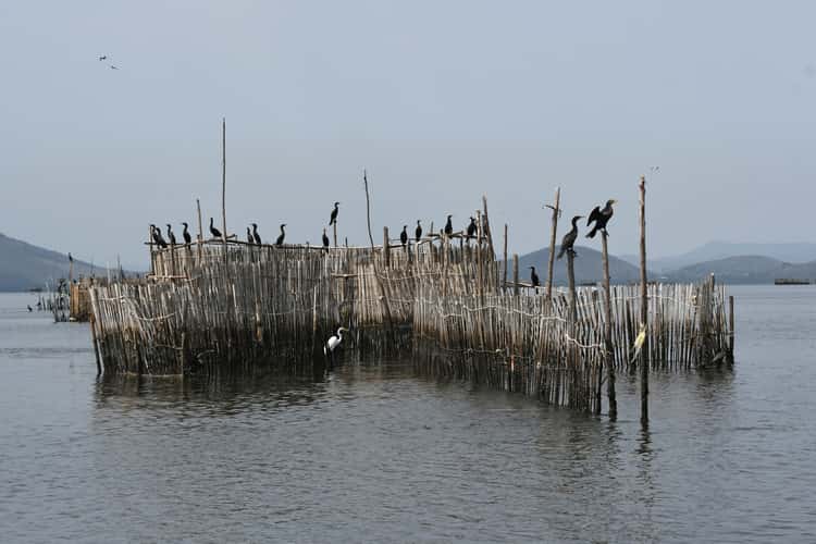 fishing corral