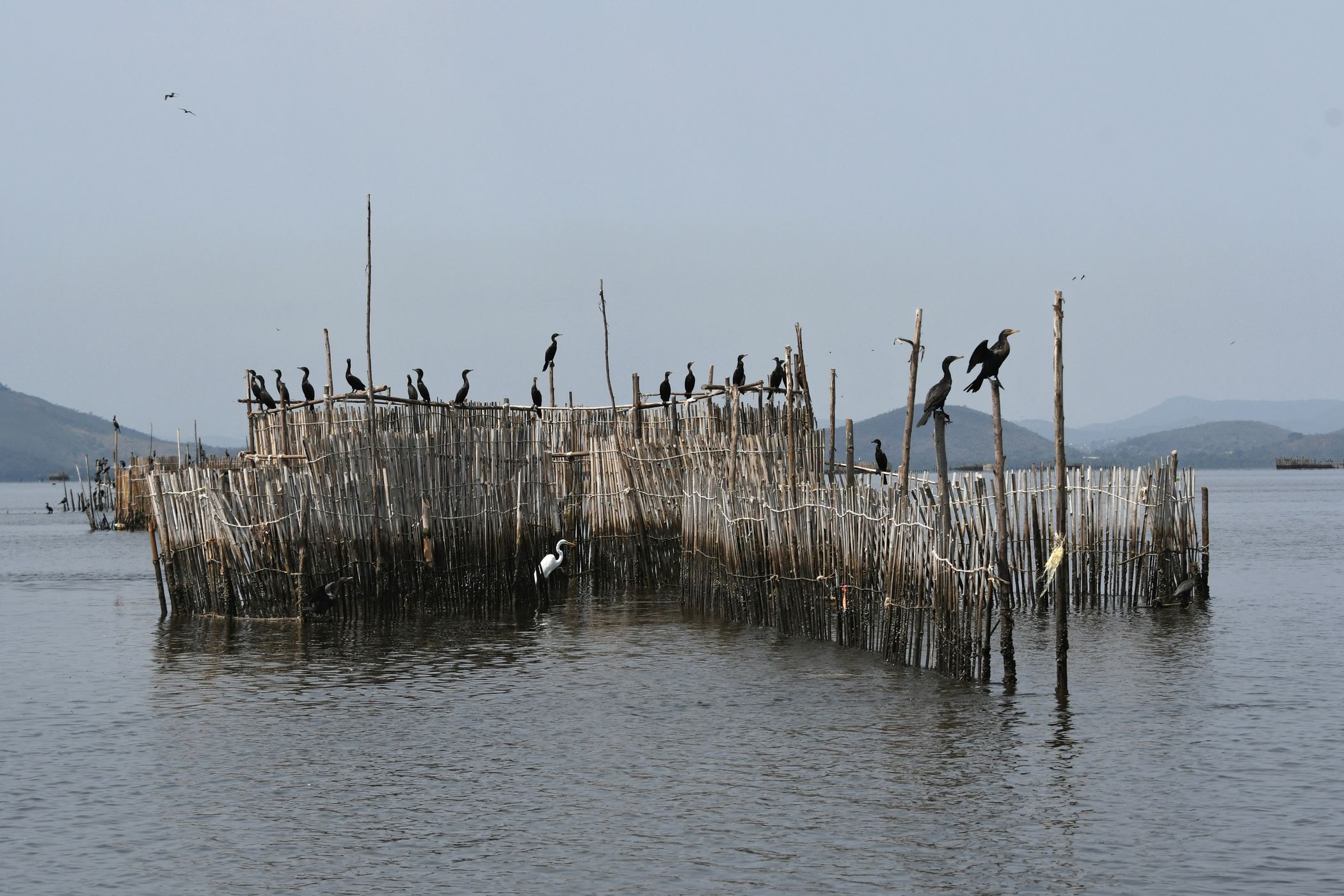 fishing corral, Brazil