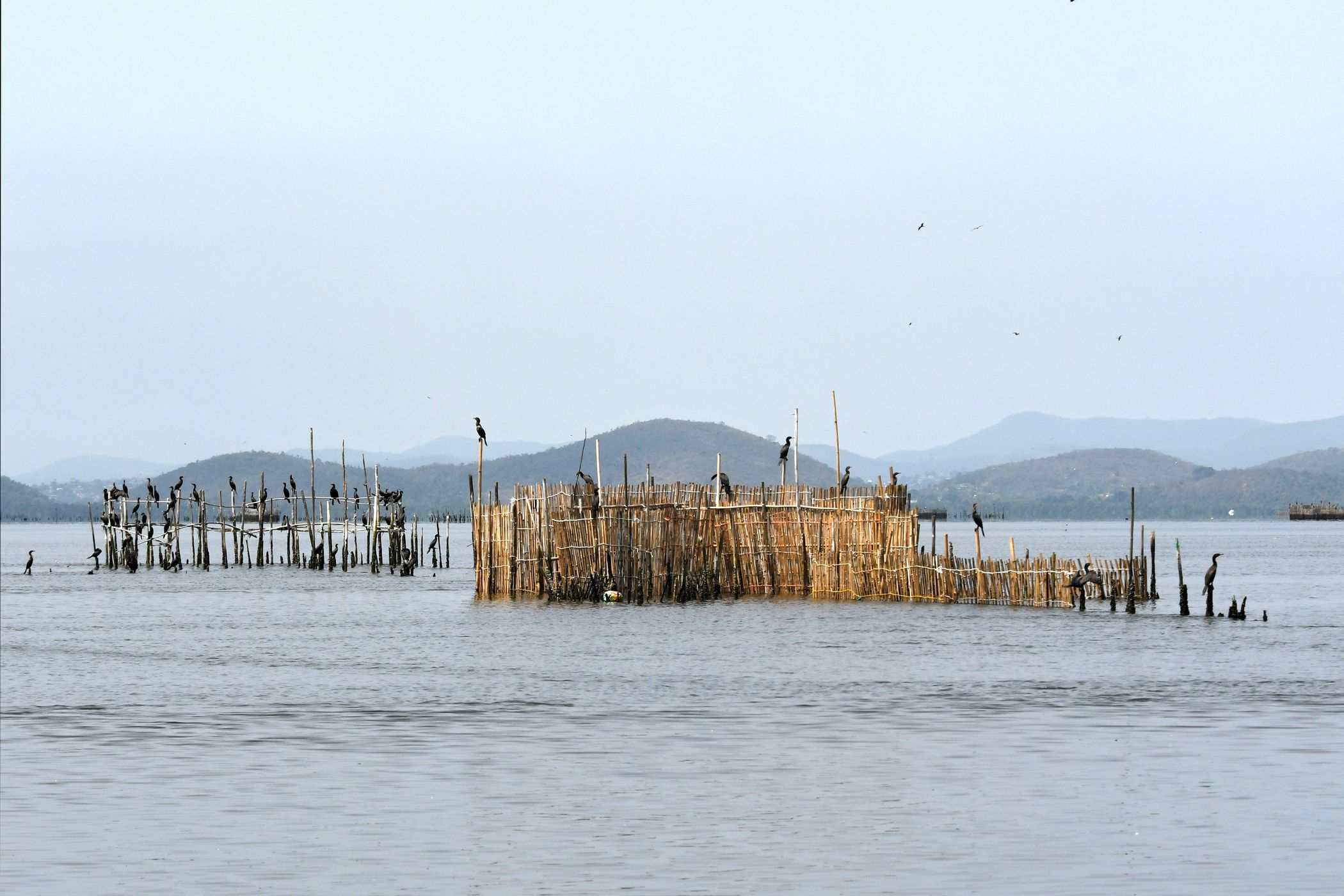 fishing corral, Brazil