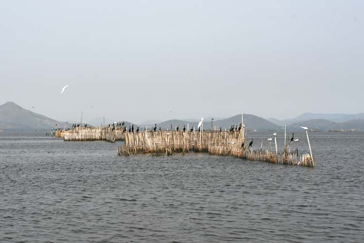 fishing corral