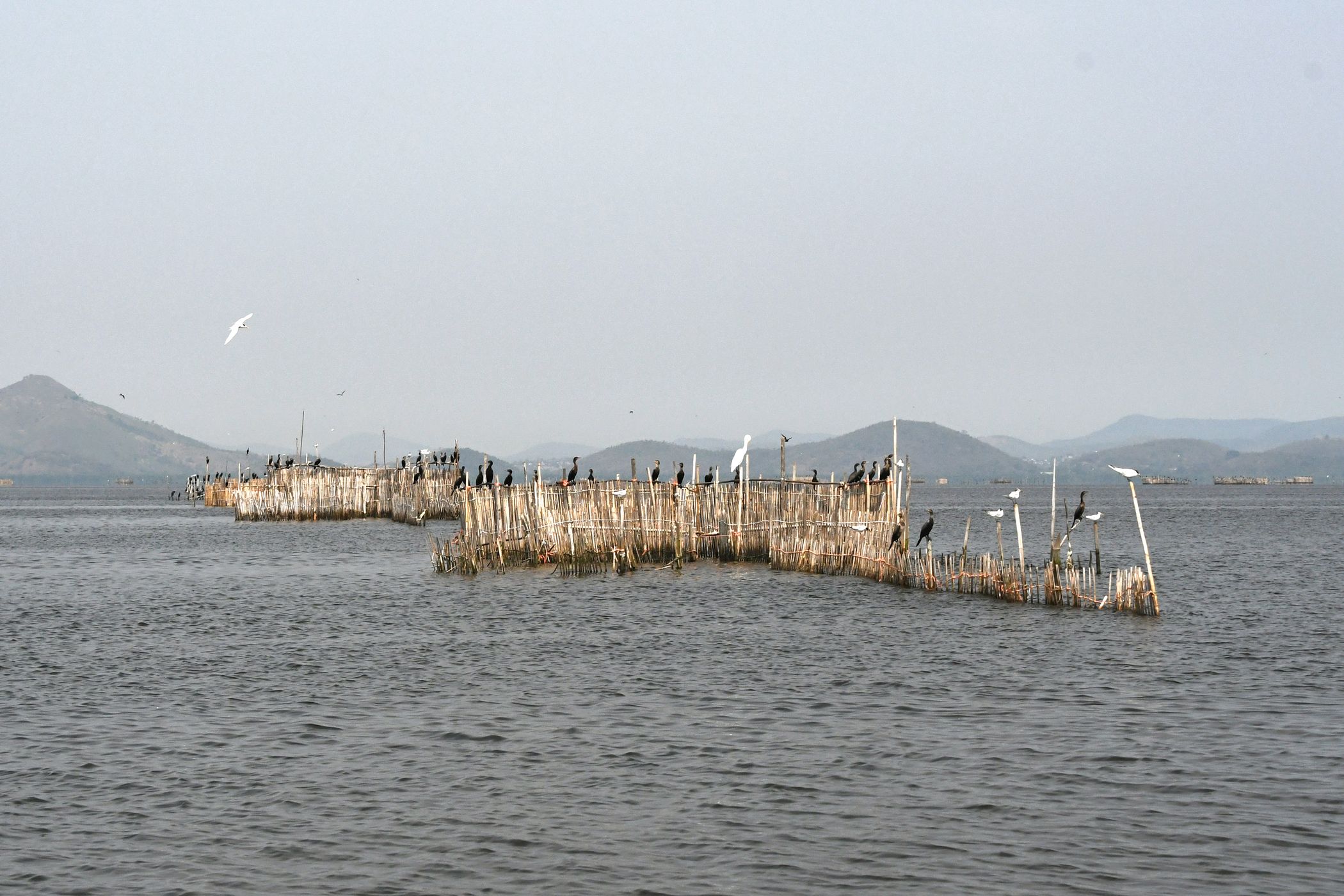 fishing corral, Brazil