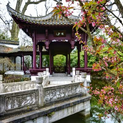 Garten des Himmlischen Friedens, Frankfurt am Main, Germany