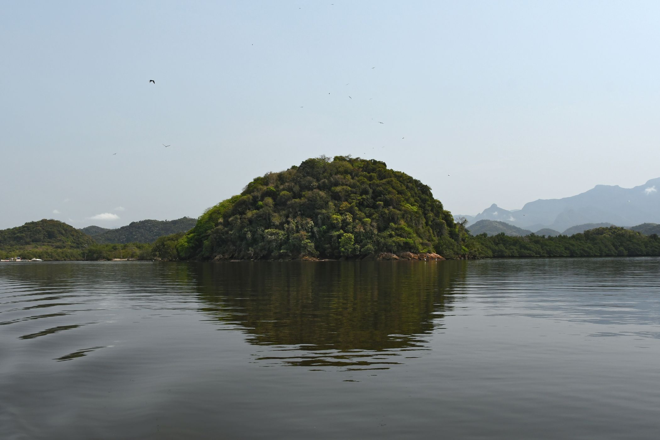 Guanabara Bay Suruí, Brazil