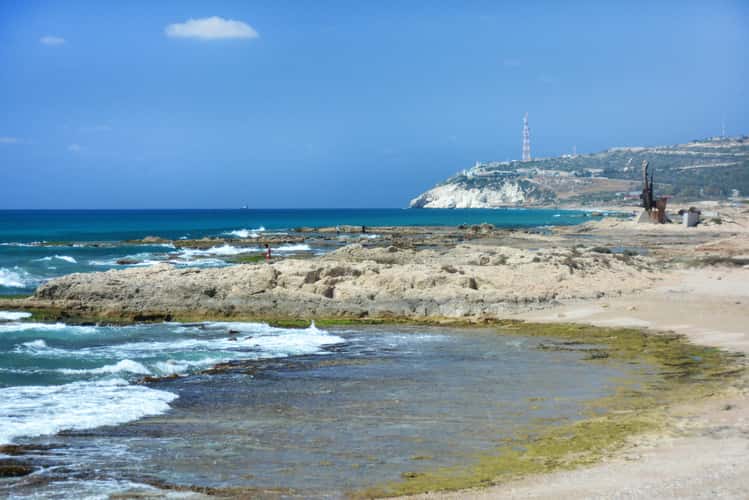 Harvat Masref