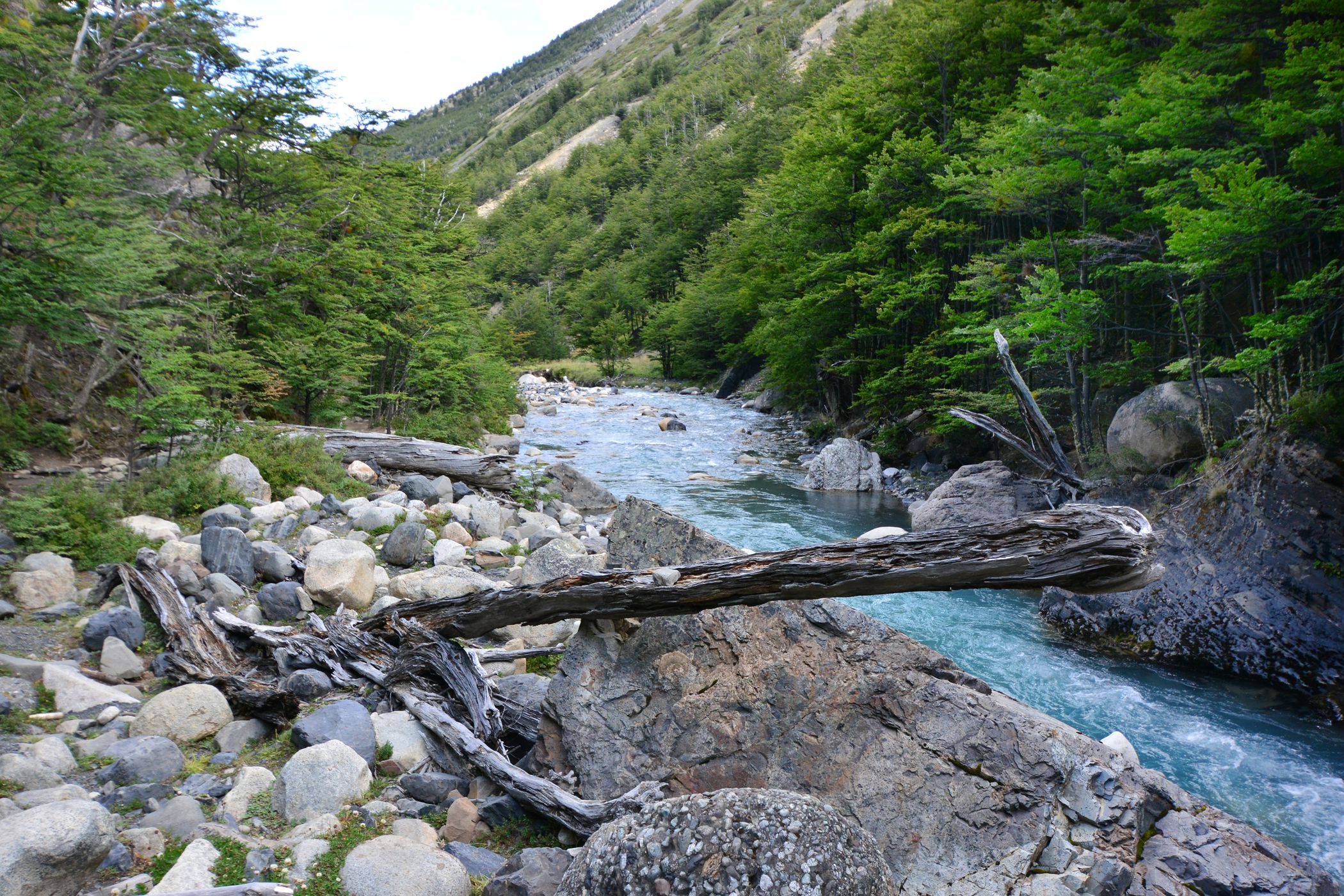 Hike to Mirador Torrres, Chile
