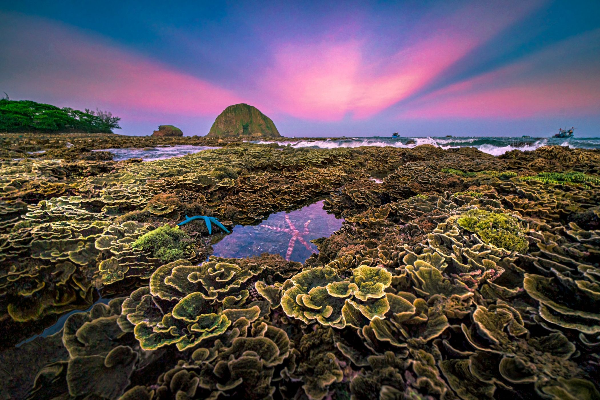 Coral reefs at Hon Yen, Vietnam