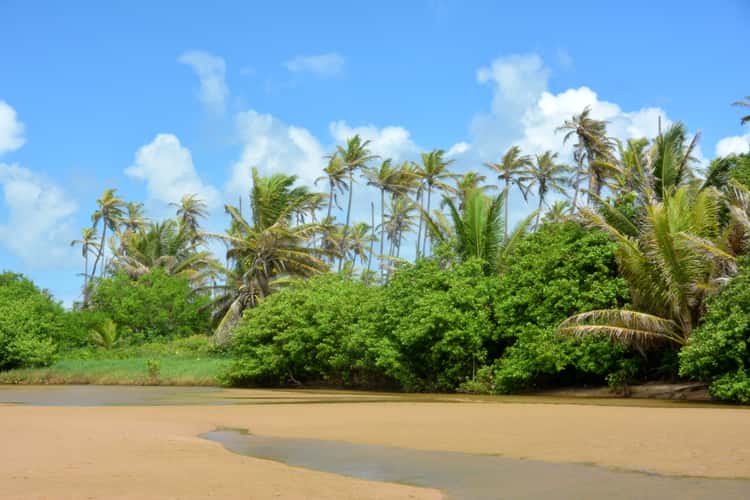 Imbassaí Beach