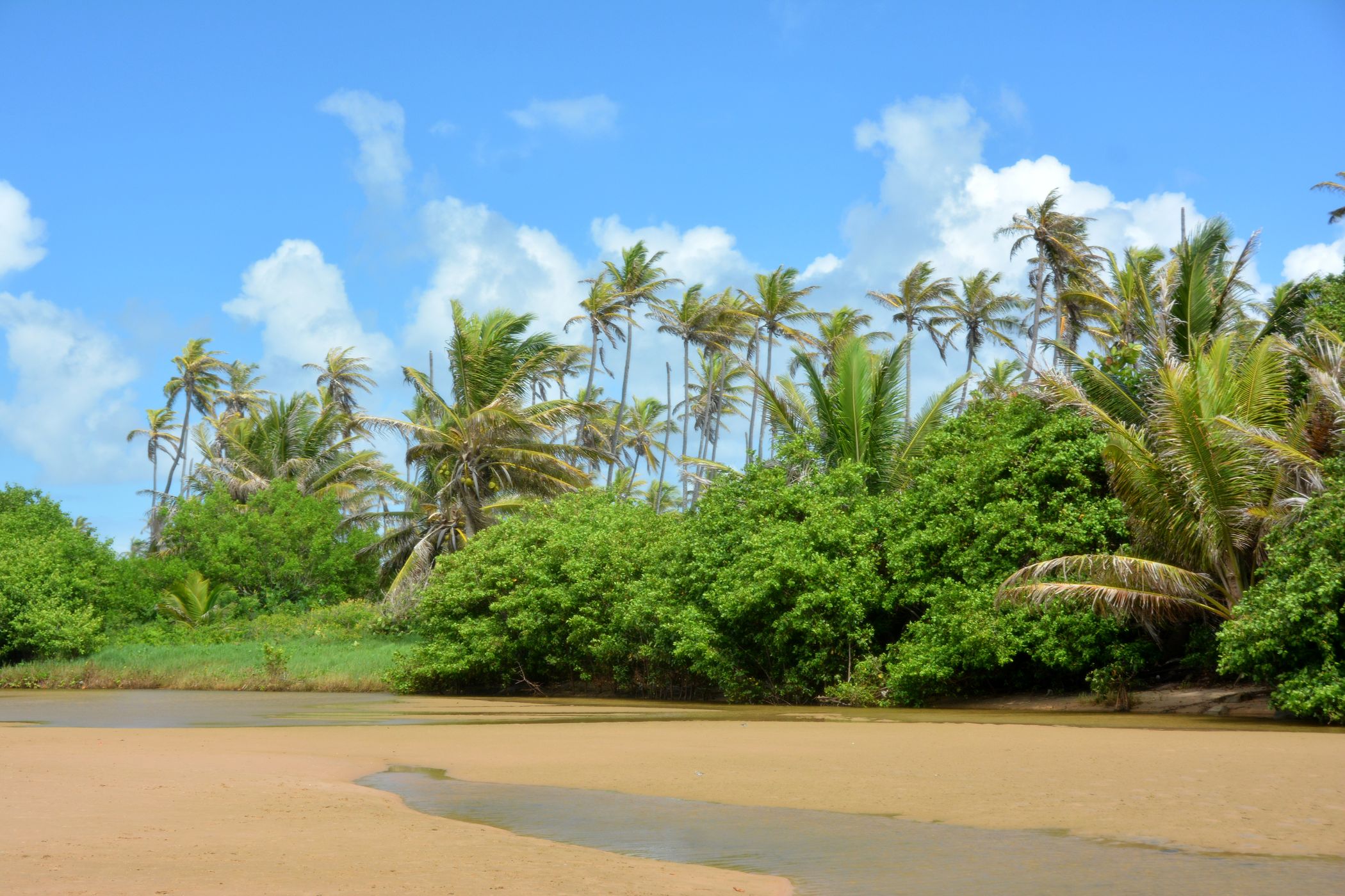 Imbassaí Beach, Brazil