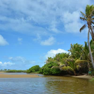 Imbassaí Beach, Brazil