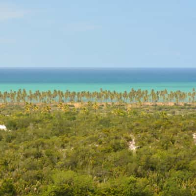 Imbassaí Shore, Brazil