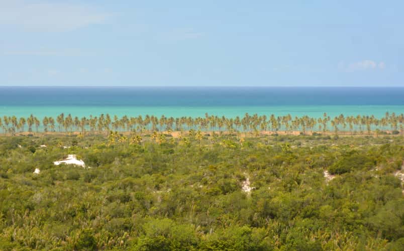 Imbassaí Shore