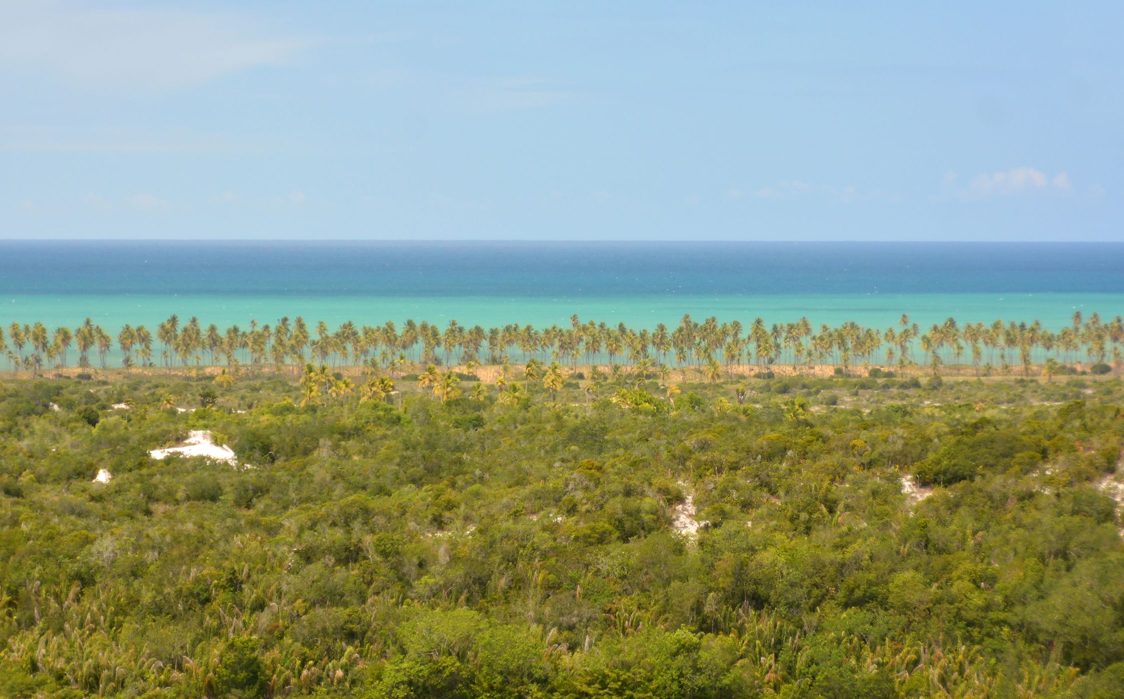 Imbassaí Shore, Brazil