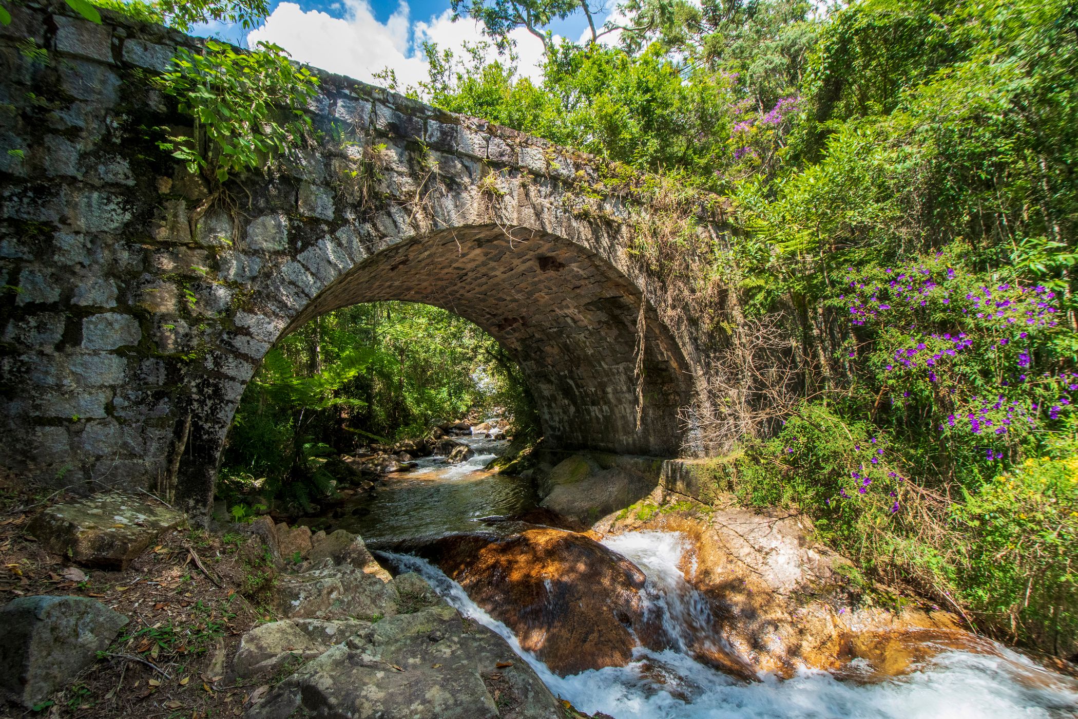 Instituo Alta Montana, Brazil