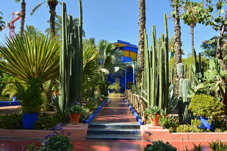 Jardin Majorelle, Marrakesh