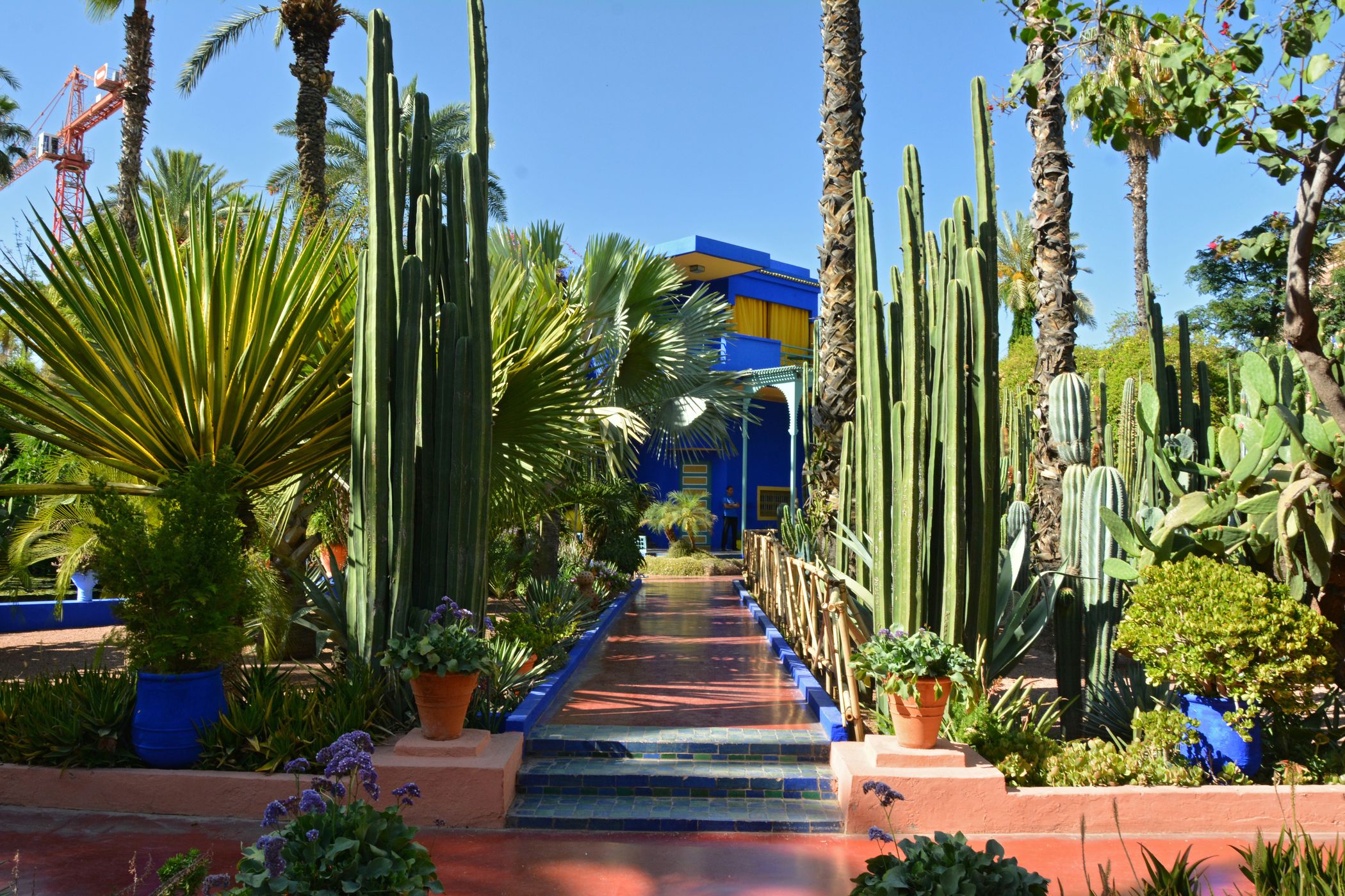 Jardin Majorelle, Marrakesh, Morocco