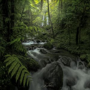 Jumog Waterfall, Solo, Central Java