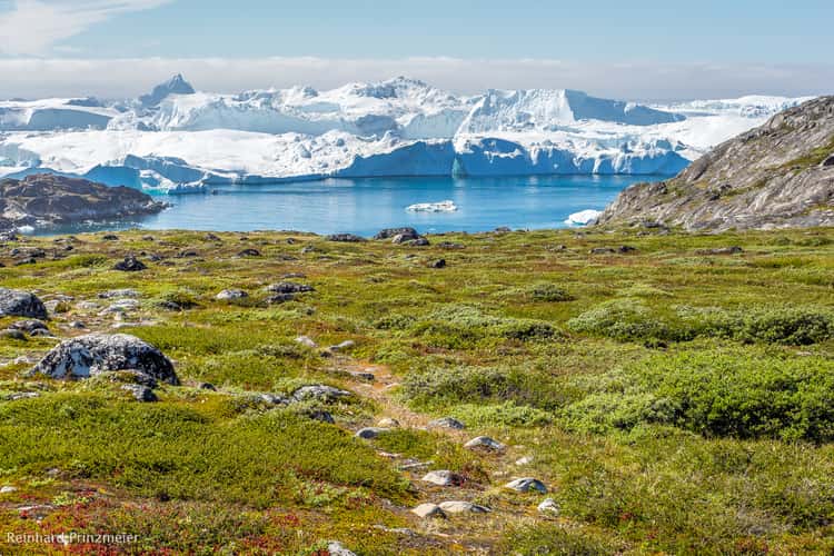 Kangia Ice Fjord