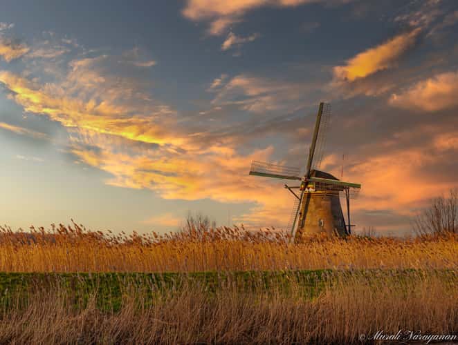 Kinderdijk Windmills