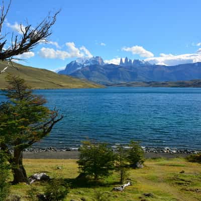 Laguna Azul (Torres des Paine view), Chile