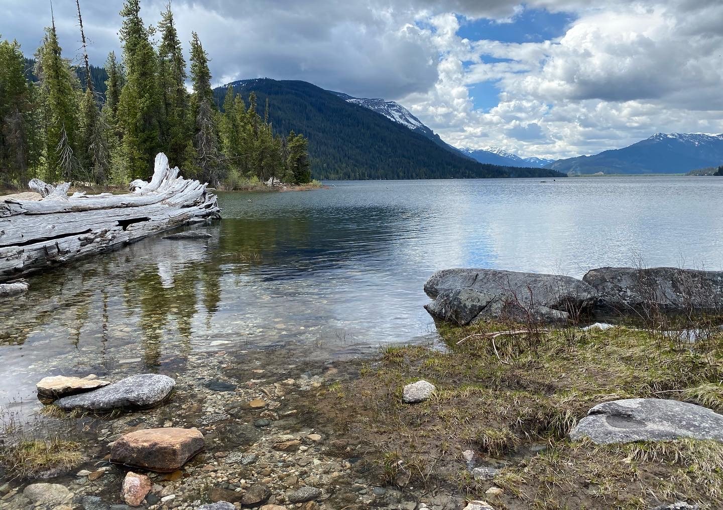 are dogs allowed at lake wenatchee state park