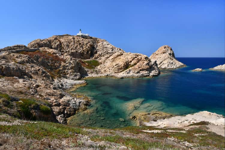 Lile Rousse