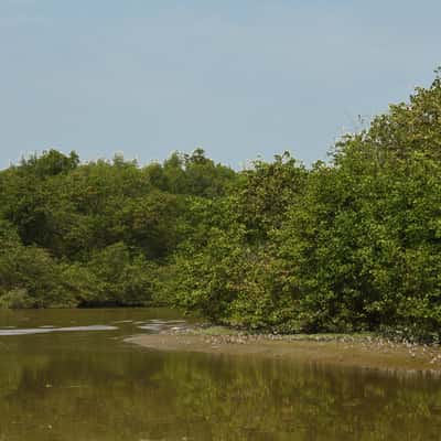 Macacu River, Brazil