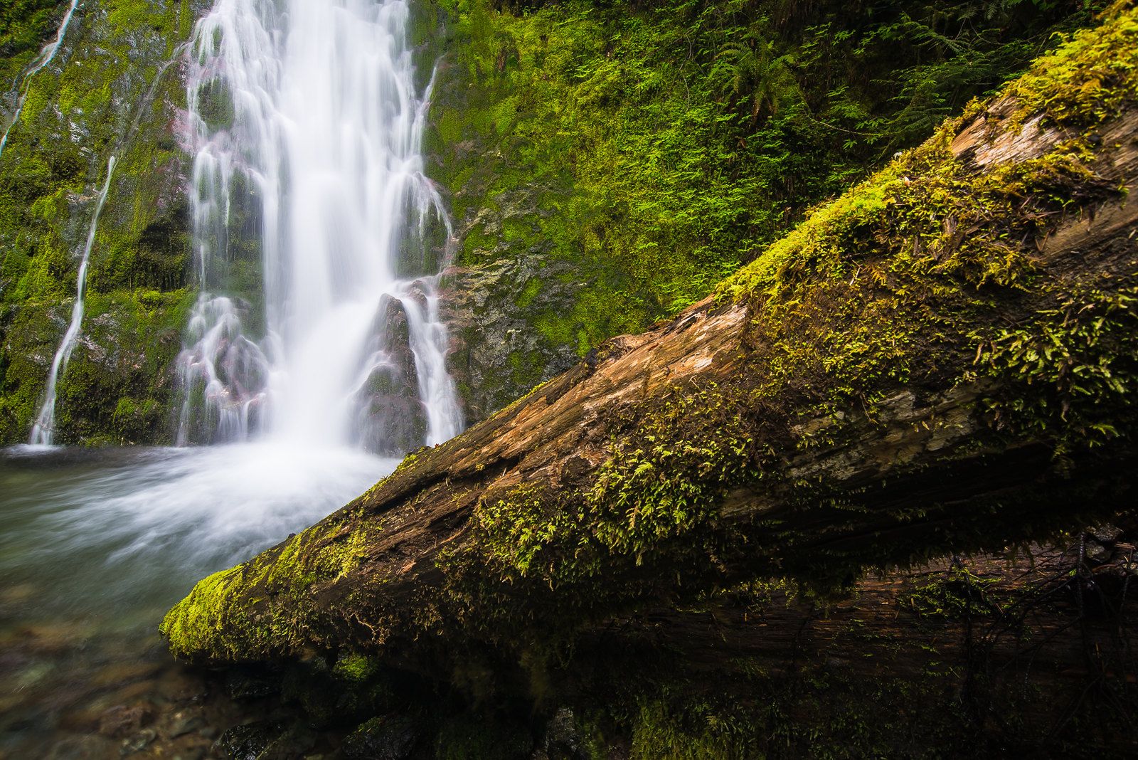 Madison Creek Falls, USA