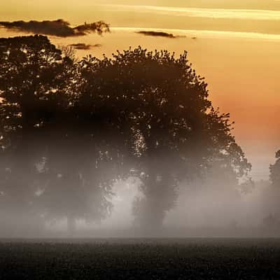 Melesse, Britanny fields, France